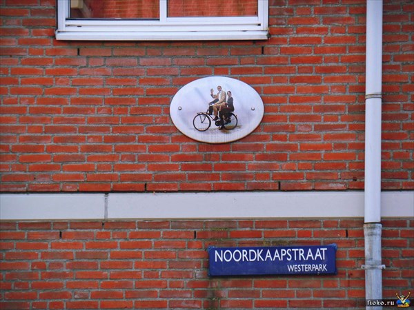 Нидерланды 150